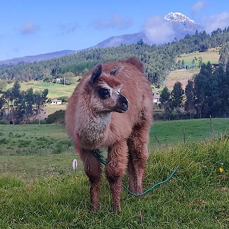 Cuscungo Cotopaxi Hostel & Lodge Chasqui 외부 사진