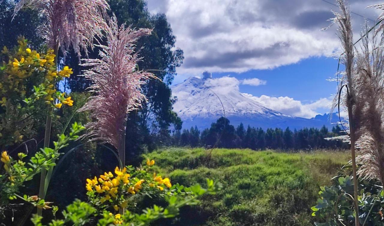 Cuscungo Cotopaxi Hostel & Lodge Chasqui 외부 사진