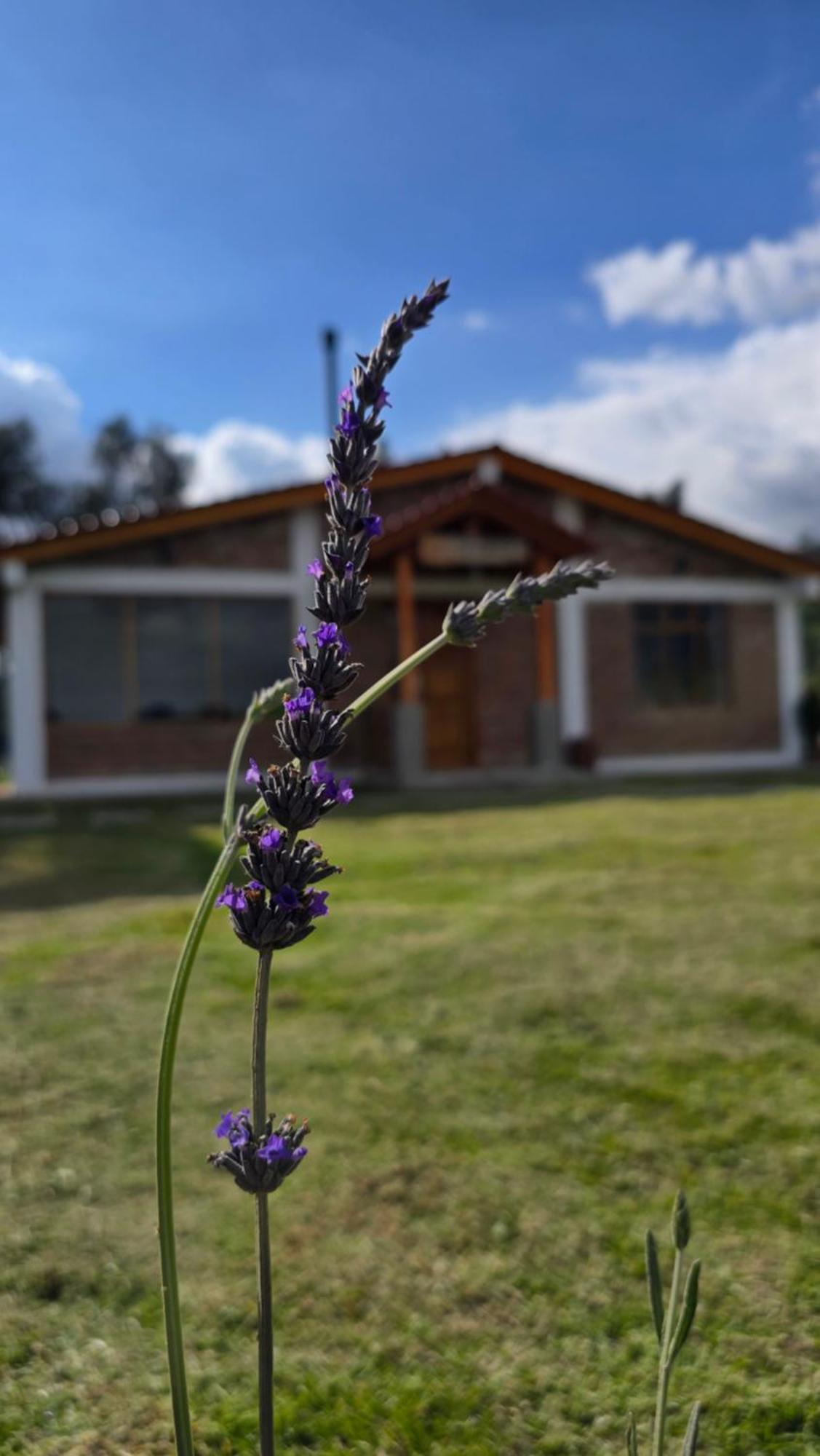 Cuscungo Cotopaxi Hostel & Lodge Chasqui 외부 사진