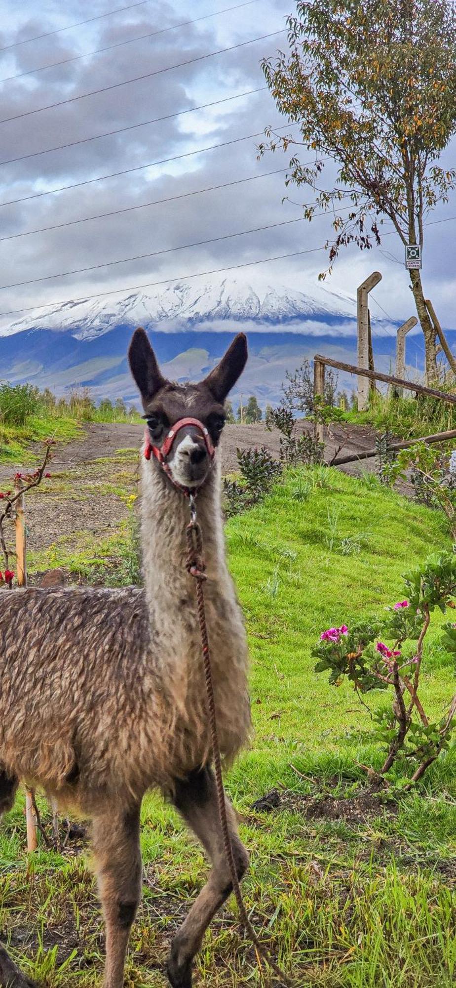 Cuscungo Cotopaxi Hostel & Lodge Chasqui 외부 사진