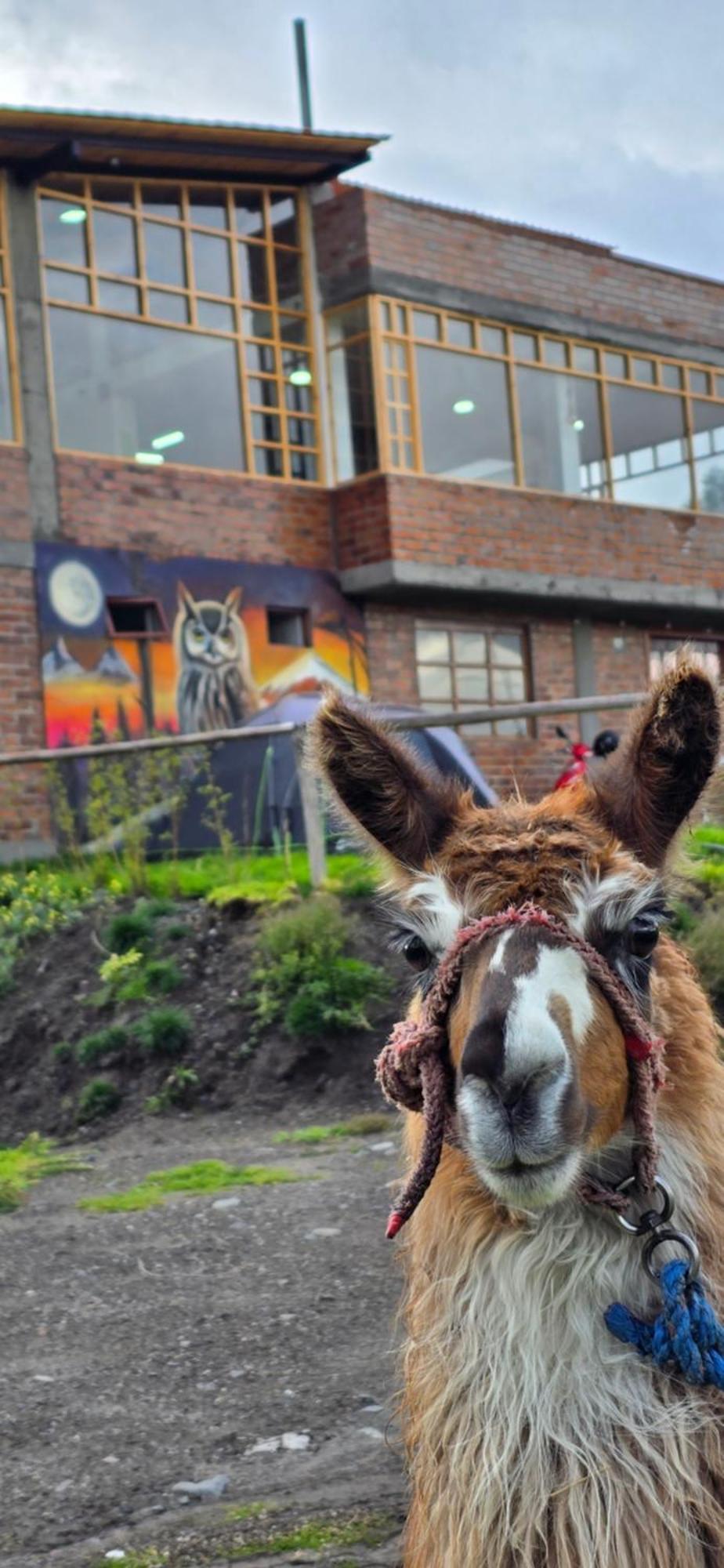 Cuscungo Cotopaxi Hostel & Lodge Chasqui 외부 사진